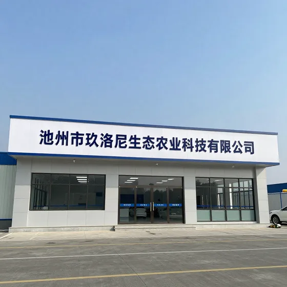 无公害蔬菜行业观察