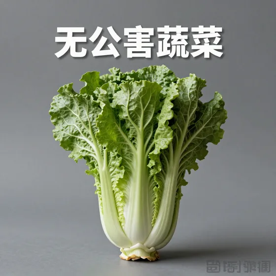 无公害蔬菜
